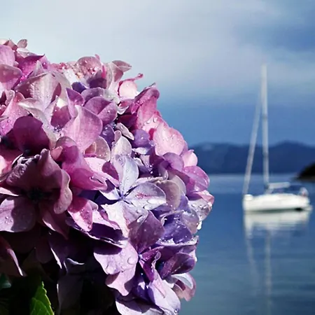 Ivana - Friends & Family Ap For 6 Guests Daire Prožura