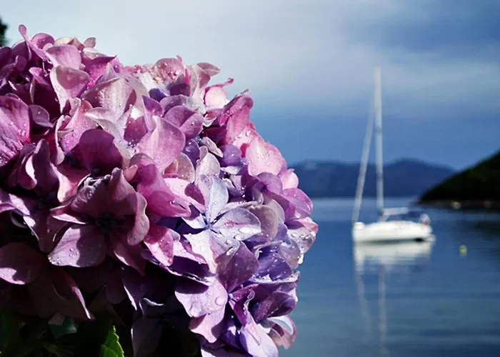 Ivana - Friends & Family Ap For 6 Guests Daire Prožura